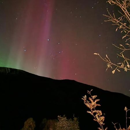 Pilan Lodge Lofoten Vestpollen المظهر الخارجي الصورة