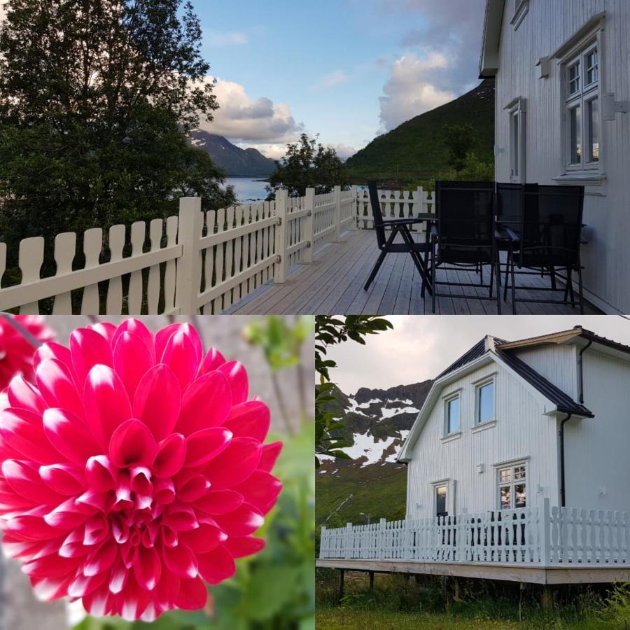 Pilan Lodge Lofoten Vestpollen المظهر الخارجي الصورة
