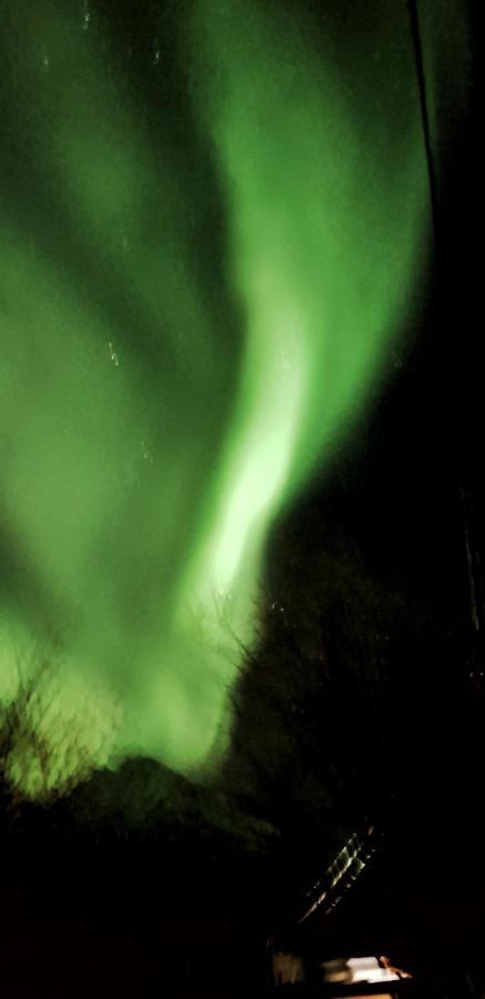 Pilan Lodge Lofoten Vestpollen المظهر الخارجي الصورة