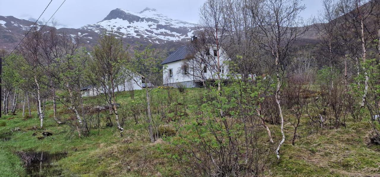 Pilan Lodge Lofoten Vestpollen المظهر الخارجي الصورة