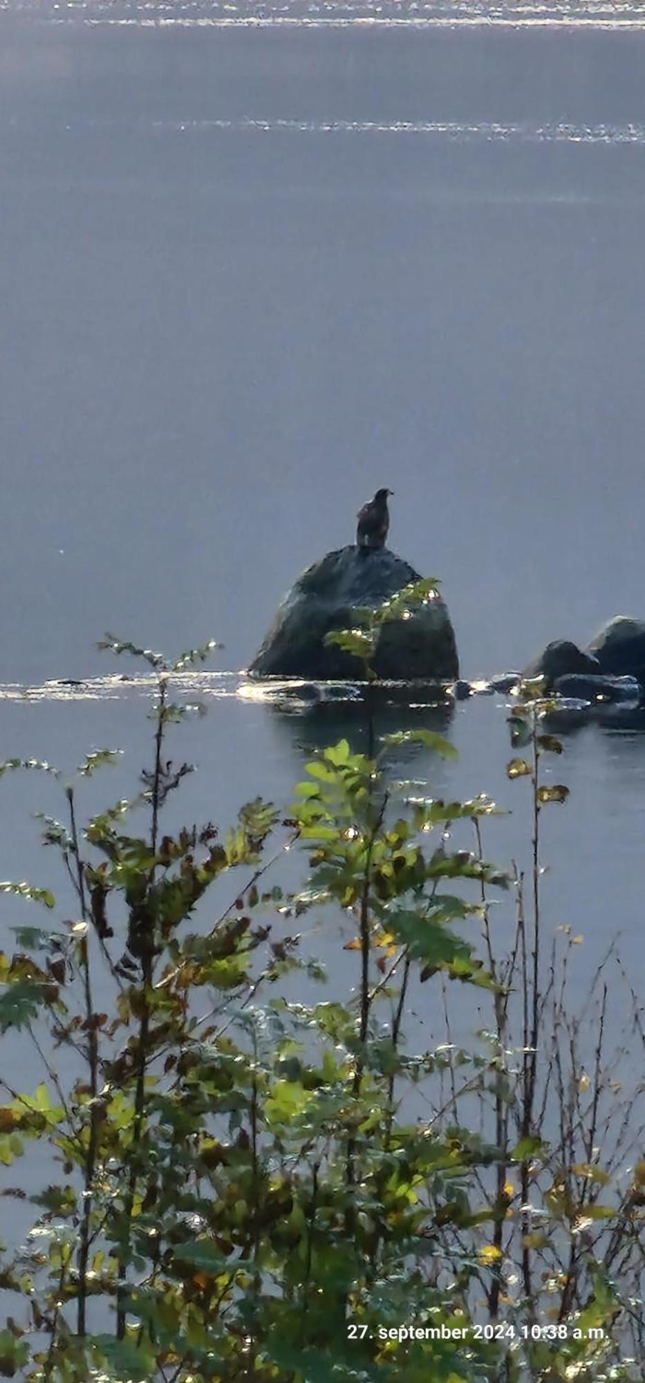 Pilan Lodge Lofoten Vestpollen المظهر الخارجي الصورة
