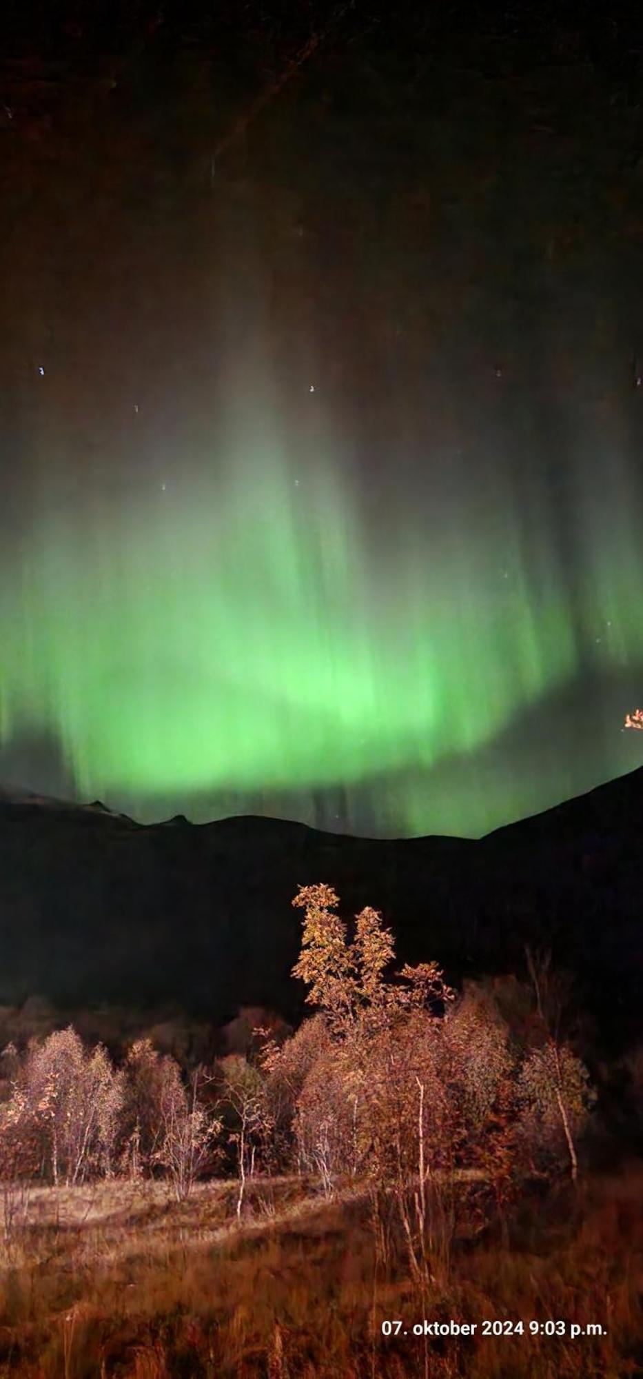 Pilan Lodge Lofoten Vestpollen المظهر الخارجي الصورة