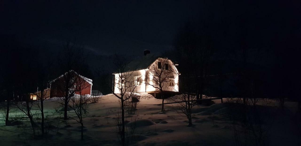 Pilan Lodge Lofoten Vestpollen المظهر الخارجي الصورة