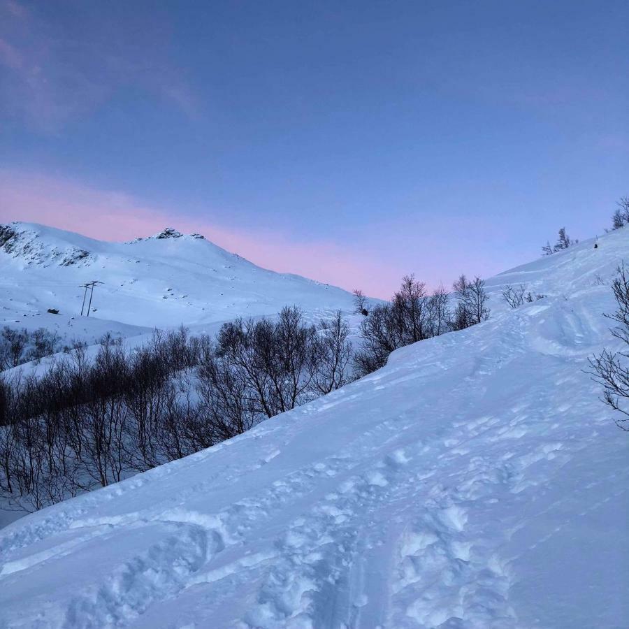 Pilan Lodge Lofoten Vestpollen المظهر الخارجي الصورة