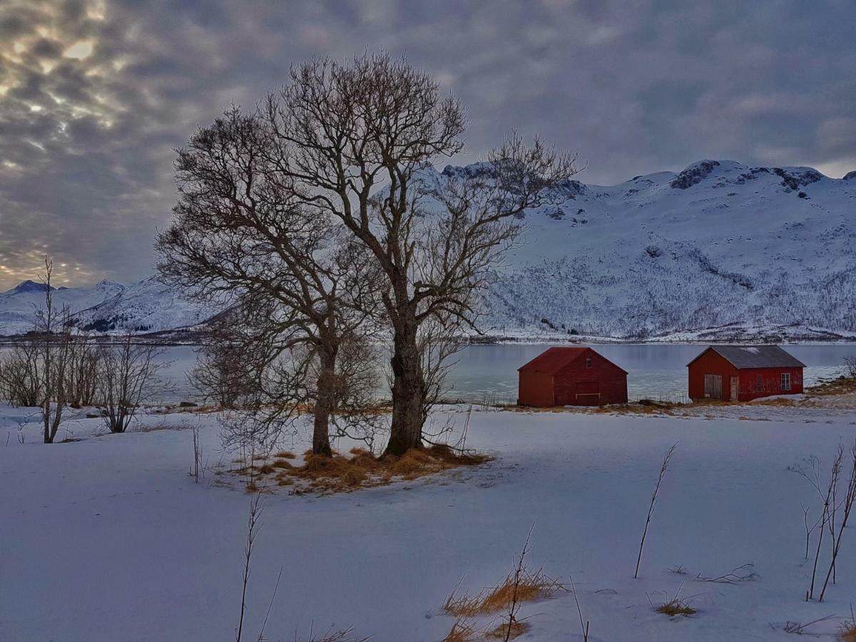 Pilan Lodge Lofoten Vestpollen المظهر الخارجي الصورة