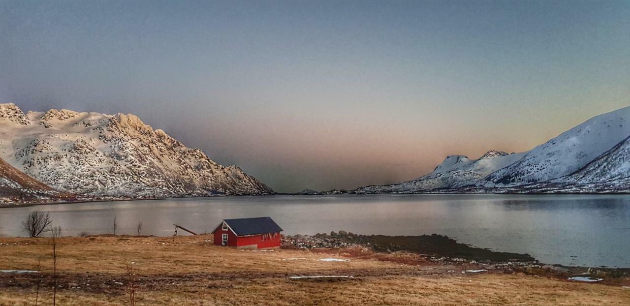 Pilan Lodge Lofoten Vestpollen المظهر الخارجي الصورة